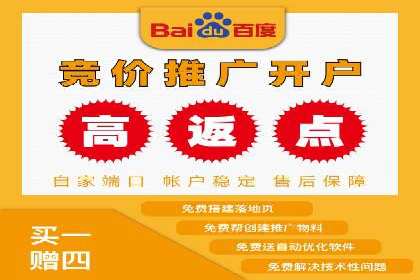 电商成功案例：竞价推广助力品牌崛起